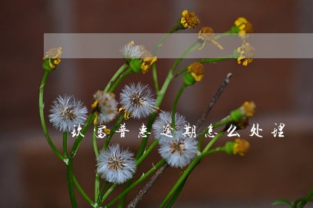 玖富普惠逾期怎么处理 玖富普惠逾期怎么处理