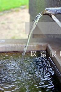 玖富最后一期逾期会代偿吗 玖富最后一期逾期会代偿吗