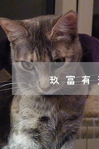 玖富有过逾期但在回款中 玖富有过逾期但在回款中