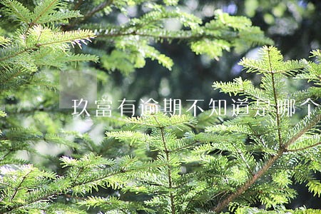 玖富有逾期不知道是哪个平台 玖富有逾期不知道是哪个平台