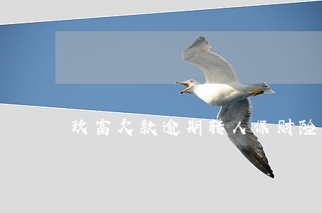 玖富欠款逾期转人保财险 玖富欠款逾期转人保财险