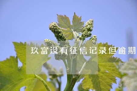 玖富没有征信记录但逾期了 玖富没有征信记录但逾期了