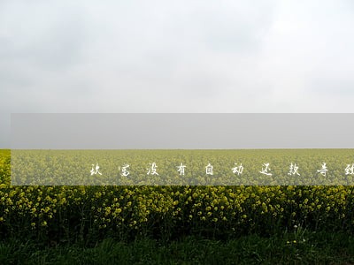 玖富没有自动还款导致逾期