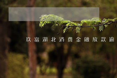 玖富湖北消费金融放款逾期一天 玖富湖北消费金融放款逾期一天