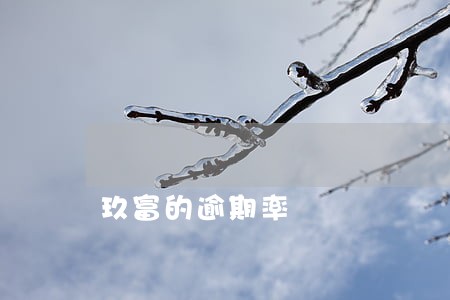 玖富的逾期率 玖富的逾期率