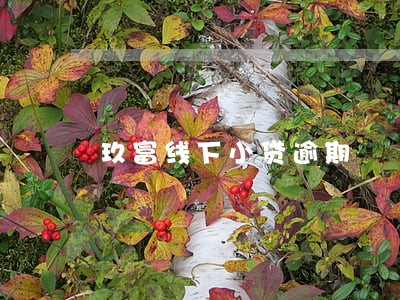 玖富线下小贷逾期 玖富线下小贷逾期
