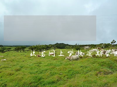 玖富网上贷款逾期会怎样 玖富网上贷款逾期会怎样