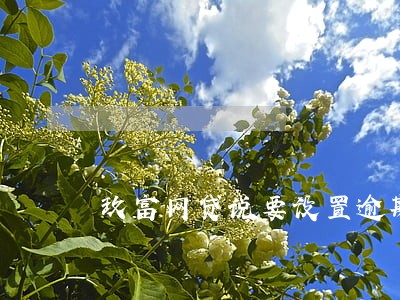 玖富网贷说要设置逾期彩铃
