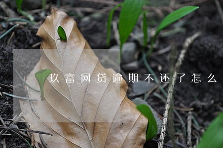 玖富网贷逾期不还了怎么处理 玖富网贷逾期不还了怎么处理