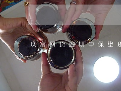 玖富网贷逾期中保垫还 玖富网贷逾期中保垫还