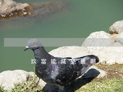 玖富能减免逾期费吗 玖富能减免逾期费吗