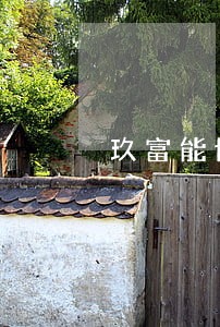 玖富能协商只还本金 玖富能协商只还本金
