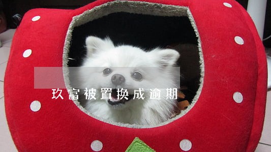 玖富被置换成逾期 玖富被置换成逾期