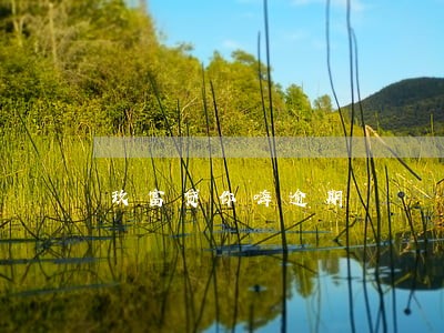 玖富贷你嗨逾期 玖富贷你嗨逾期