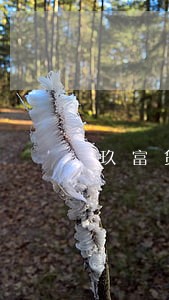 玖富贷款我1万逾期半年 玖富贷款我1万逾期半年