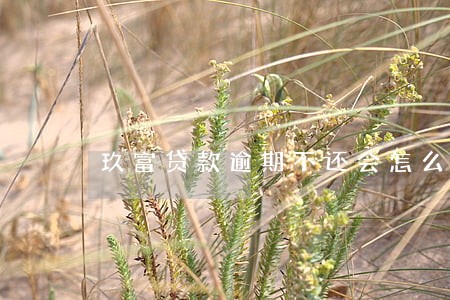 玖富贷款逾期不还会怎么样 玖富贷款逾期不还会怎么样