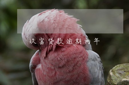 玖富贷款逾期两年 玖富贷款逾期两年