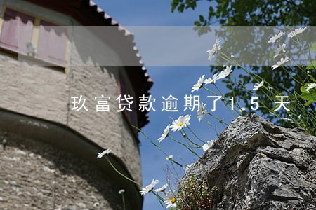 玖富贷款逾期了15天 玖富贷款逾期了15天