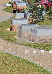 玖富贷逾期了4万 玖富贷逾期了4万
