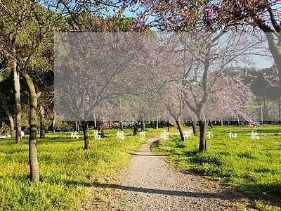 玖富超市逾期不扣款 玖富超市逾期不扣款