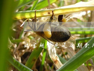 玖富超能先还逾期费用 玖富超能先还逾期费用