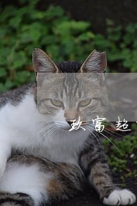 玖富超能逾期一天有没有事 玖富超能逾期一天有没有事