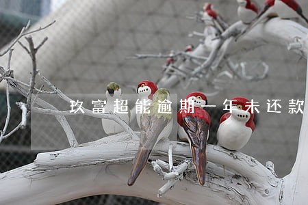 玖富超能逾期一年未还款 玖富超能逾期一年未还款