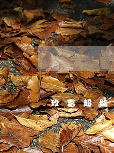 玖富超能逾期五个月 玖富超能逾期五个月