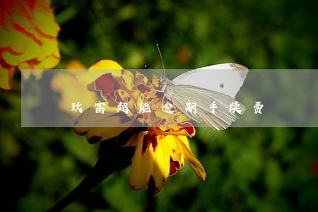 玖富超能逾期手续费 玖富超能逾期手续费