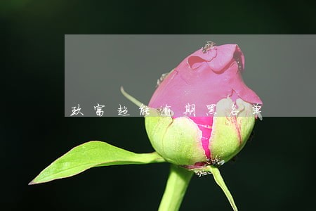 玖富超能逾期黑名单 玖富超能逾期黑名单