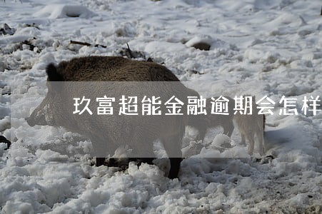 玖富超能金融逾期会怎样