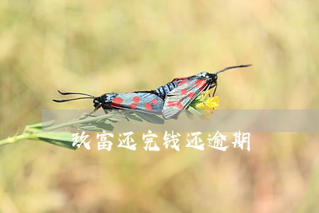 玖富还完钱还逾期 玖富还完钱还逾期
