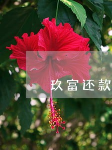 玖富还款后一个月后还显示逾期