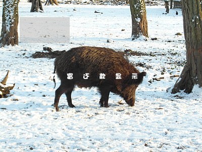 玖富还款显示逾期 玖富还款显示逾期