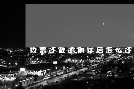 玖富还款逾期以后怎么还