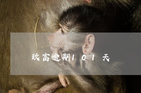 玖富逾期101天 玖富逾期101天