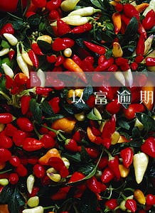 玖富逾期10月18日 玖富逾期10月18日