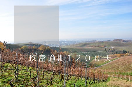 玖富逾期1200天