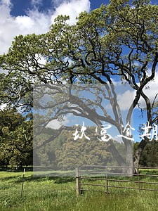 玖富逾期180天合同 玖富逾期180天合同