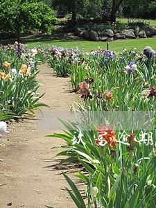 玖富逾期1万8 玖富逾期1万8