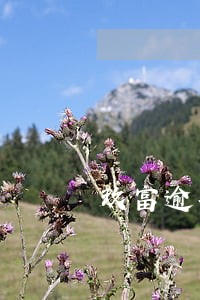 玖富逾期1年利息多少 玖富逾期1年利息多少