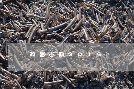 玖富逾期2019 玖富逾期2019