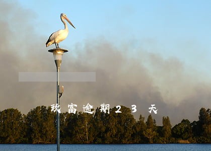 玖富逾期23天 玖富逾期23天