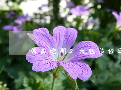 玖富逾期2天电话催还款 玖富逾期2天电话催还款