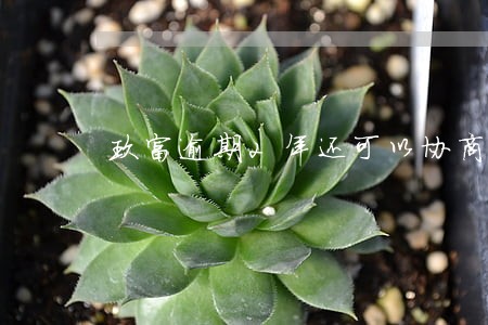 玖富逾期2年还可以协商嘛