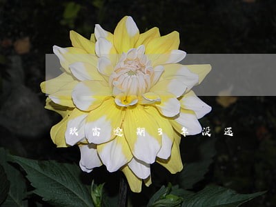 玖富逾期3年没还 玖富逾期3年没还