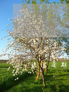 玖富逾期5年会不会有事情 玖富逾期5年会不会有事情