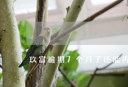 玖富逾期7个月了还能再借吗 玖富逾期7个月了还能再借吗