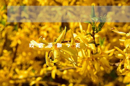 玖富逾期7天 玖富逾期7天