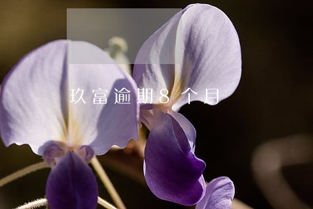 玖富逾期8个月 玖富逾期8个月